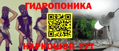 мяу мяу мука Кингисепп