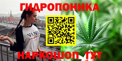 мяу мяу мука Кингисепп